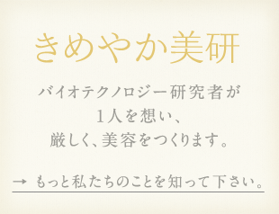 きめやか美研ストーリー