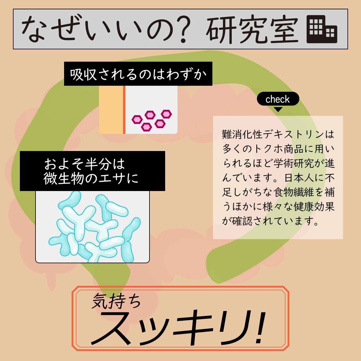 なぜいいの? 研究室難消化性デキストリンは多くのトクホ商品に用いられるほど学術研究が進んでいます。日本人に不足しがちな食物繊維を補うほかに様々な健康効果が確認されています。吸収されるのはわずかおよそ半分は微生物のエサに気持ちスッキリ!