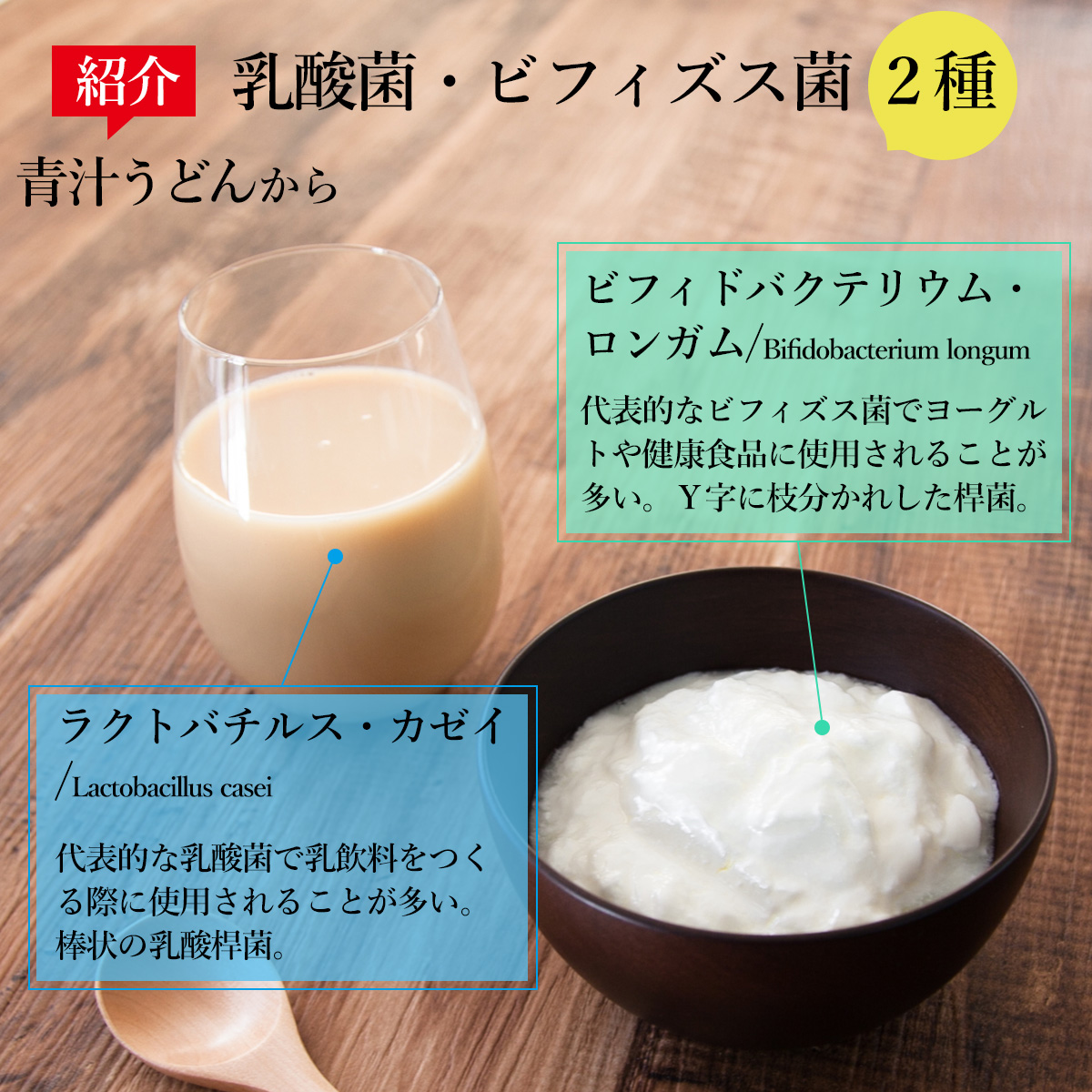 紹介　乳酸菌・ビフィズス菌 ２種ラクトバチルス・カゼイ/Lactobacillus casei  代表的な乳酸菌で乳飲料をつくる際に使用されることが多い。棒状の乳酸桿菌。ビフィドバクテリウム・ロンガム/Bifidobacterium longum代表的なビフィズス菌でヨーグルトや健康食品に使用されることが多い。Ｙ字に枝分かれした桿菌。