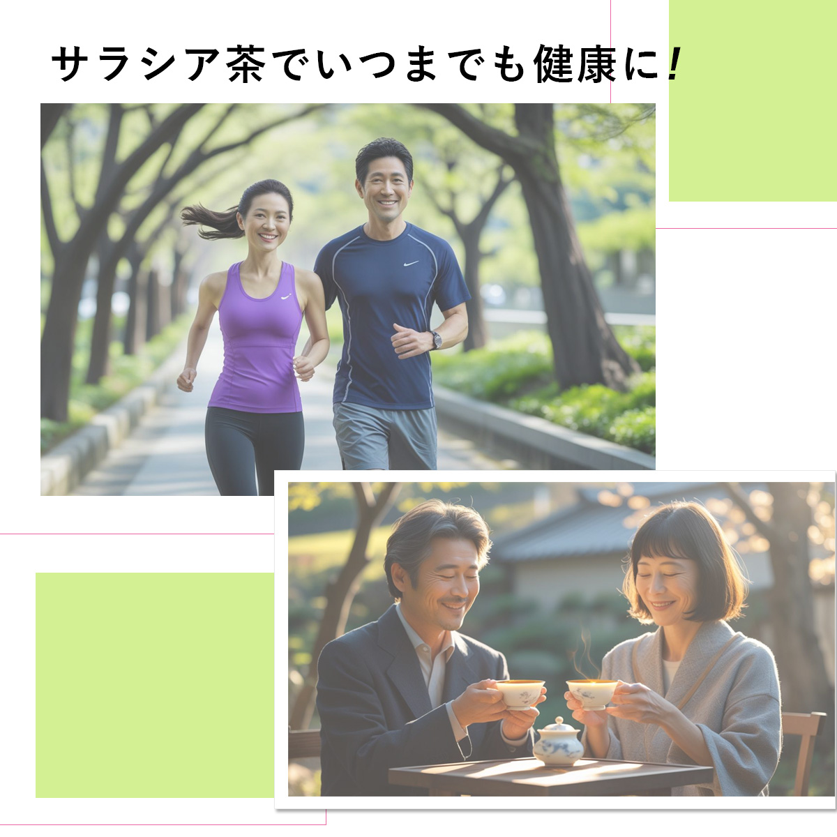 サラシア茶でいつまでも健康に!