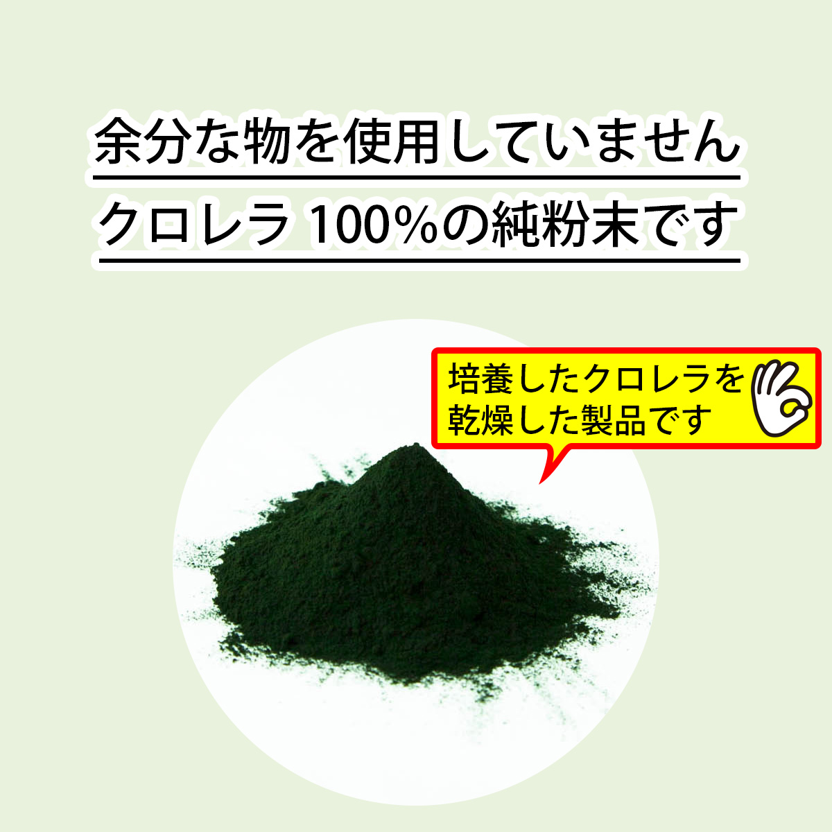 余分な物を使用していませんクロレラ100％の純粉末です培養したクロレラを乾燥した製品です